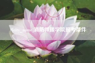 西双版纳消防救援学院报考条件