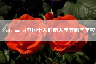 西双版纳中国十大消防大学有哪些学校