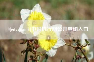 西双版纳中国执行网公开查询入口