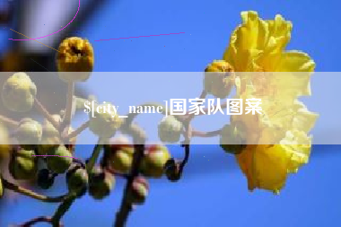 西双版纳国家队图案