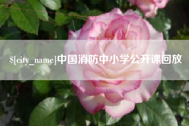 西双版纳中国消防中小学公开课回放