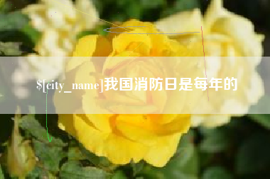 西双版纳我国消防日是每年的
