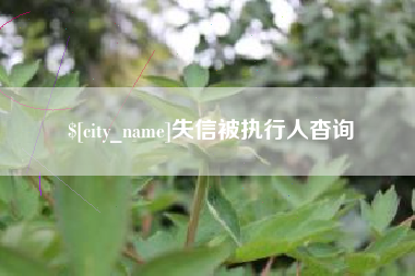 西双版纳失信被执行人杳询