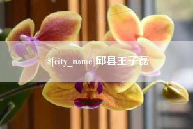 西双版纳邱县王子磊