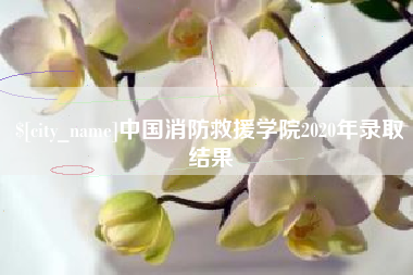 西双版纳中国消防救援学院2020年录取结果
