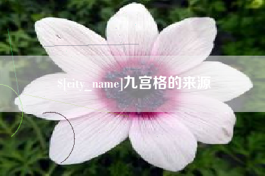 西双版纳九宫格的来源
