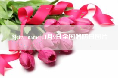 西双版纳11月9日全国消防日图片