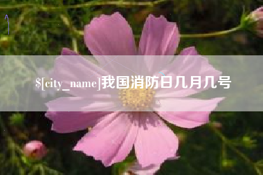 西双版纳我国消防日几月几号