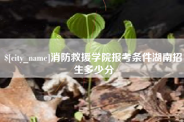西双版纳消防救援学院报考条件湖南招生多少分