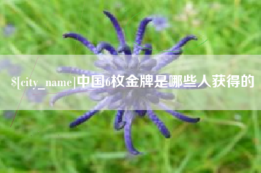 西双版纳中国6枚金牌是哪些人获得的