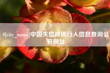 西双版纳中国失信被执行人信息查询公开网址