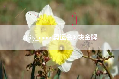 西双版纳奥运会39块金牌