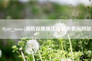 西双版纳消防设施操作员证书查询网址