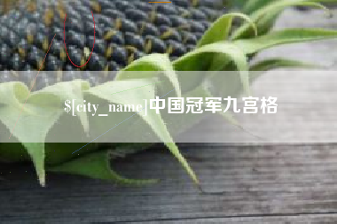 西双版纳中国冠军九宫格