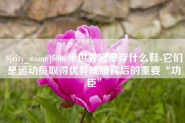 西双版纳5000米世界冠军穿什么鞋-它们是运动员取得优异成绩背后的重要“功臣”