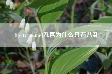 西双版纳九宫为什么只有八卦