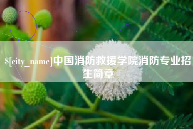 西双版纳中国消防救援学院消防专业招生简章