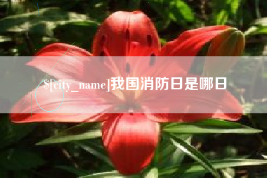 西双版纳我国消防日是哪日