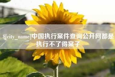 西双版纳中国执行案件查询公开网都是执行不了得案子