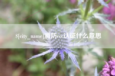 西双版纳消防ccc认证什么意思