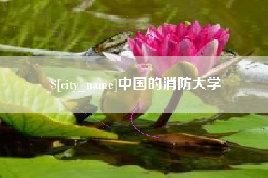 西双版纳中国的消防大学