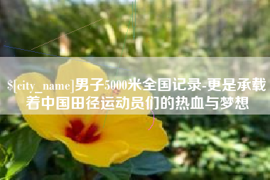 西双版纳男子5000米全国记录-更是承载着中国田径运动员们的热血与梦想