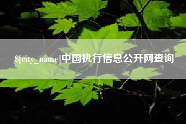 西双版纳中国执行信息公开网查询