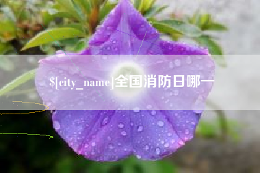 西双版纳全国消防日哪一