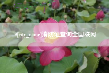 西双版纳消防证查询全国联网