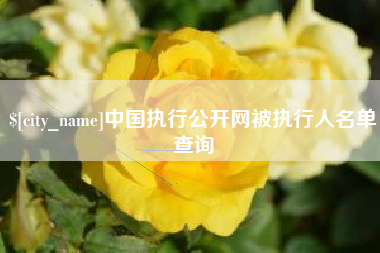 西双版纳中国执行公开网被执行人名单查询