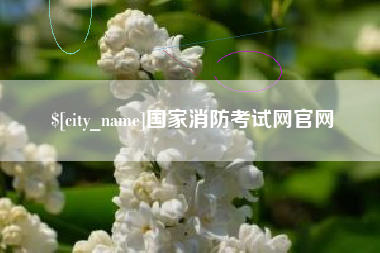 西双版纳国家消防考试网官网