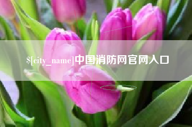 西双版纳中国消防网官网入口
