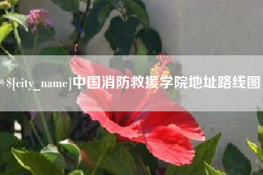 西双版纳中国消防救援学院地址路线图