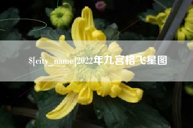 西双版纳2022年九宫格飞星图
