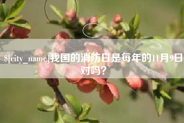 西双版纳我国的消防日是每年的11月9日对吗？