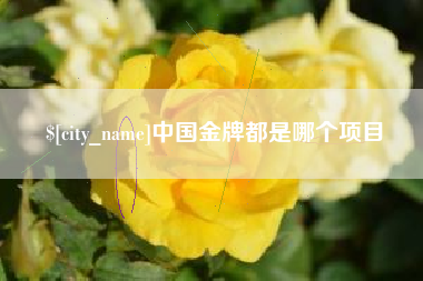 西双版纳中国金牌都是哪个项目