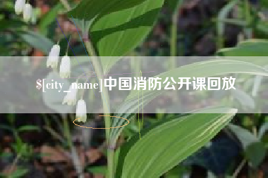 西双版纳中国消防公开课回放