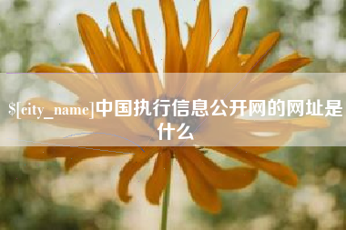西双版纳中国执行信息公开网的网址是什么