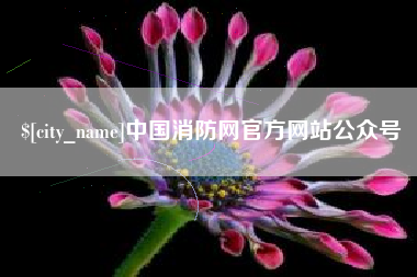 西双版纳中国消防网官方网站公众号