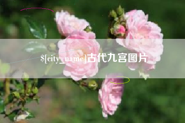 西双版纳古代九宫图片