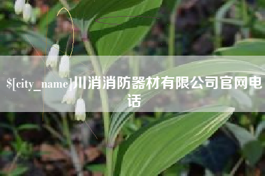 西双版纳川消消防器材有限公司官网电话