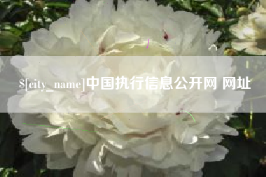西双版纳中国执行信息公开网 网址