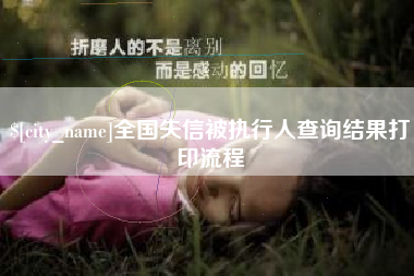 西双版纳全国失信被执行人查询结果打印流程