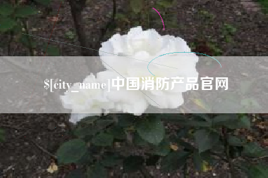 西双版纳中国消防产品官网