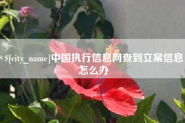 西双版纳中国执行信息网查到立案信息怎么办