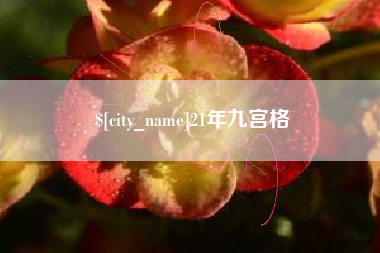 西双版纳21年九宫格