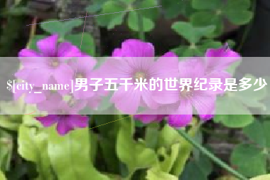 西双版纳男子五千米的世界纪录是多少