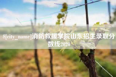 西双版纳消防救援学院山东招生录取分数线2020