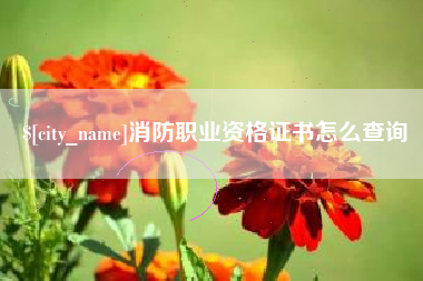 西双版纳消防职业资格证书怎么查询