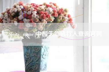 西双版纳中国失信执行人查询官网